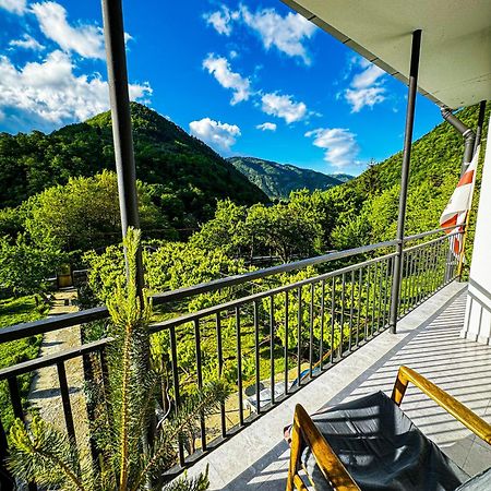 Family Hotel Mountain Panorama Bordjomi Extérieur photo