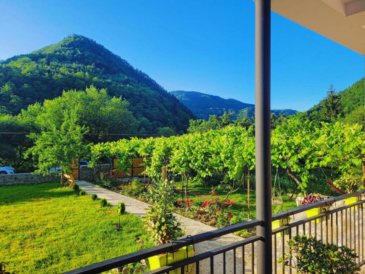 Family Hotel Mountain Panorama Bordjomi Extérieur photo