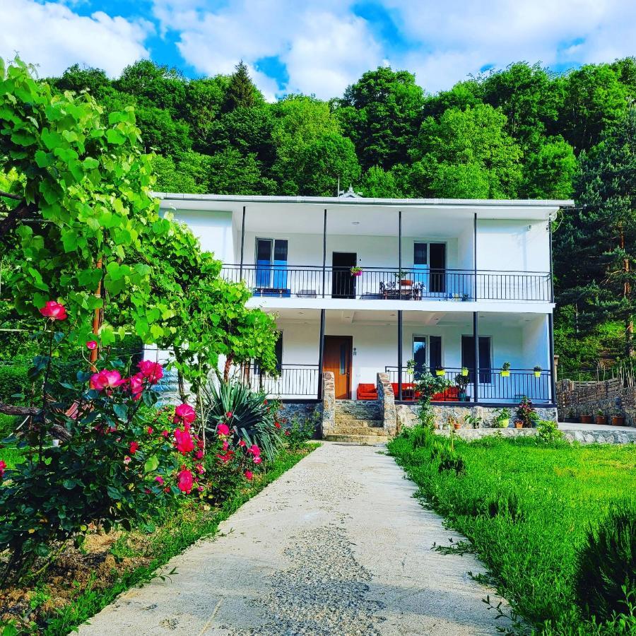 Family Hotel Mountain Panorama Bordjomi Extérieur photo