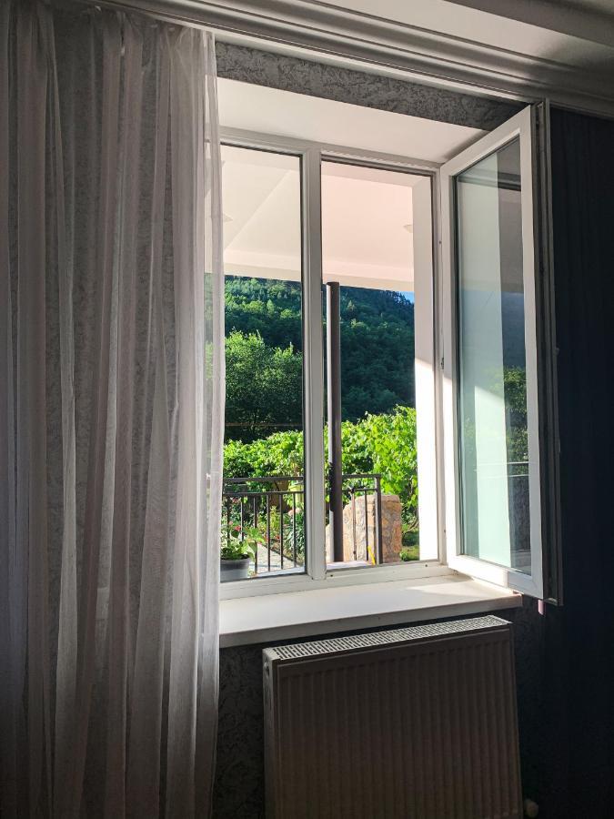 Family Hotel Mountain Panorama Bordjomi Extérieur photo