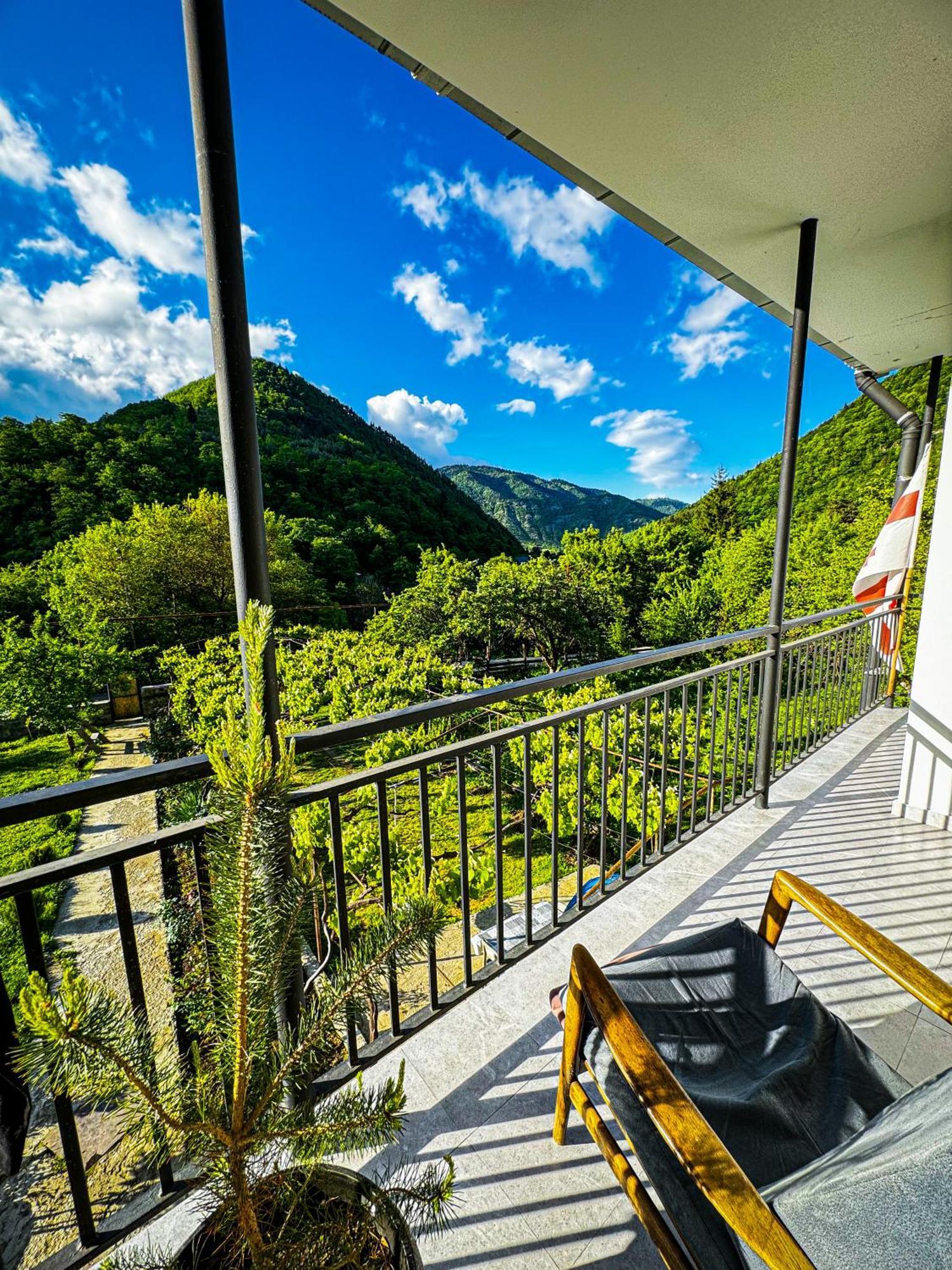 Family Hotel Mountain Panorama Bordjomi Extérieur photo