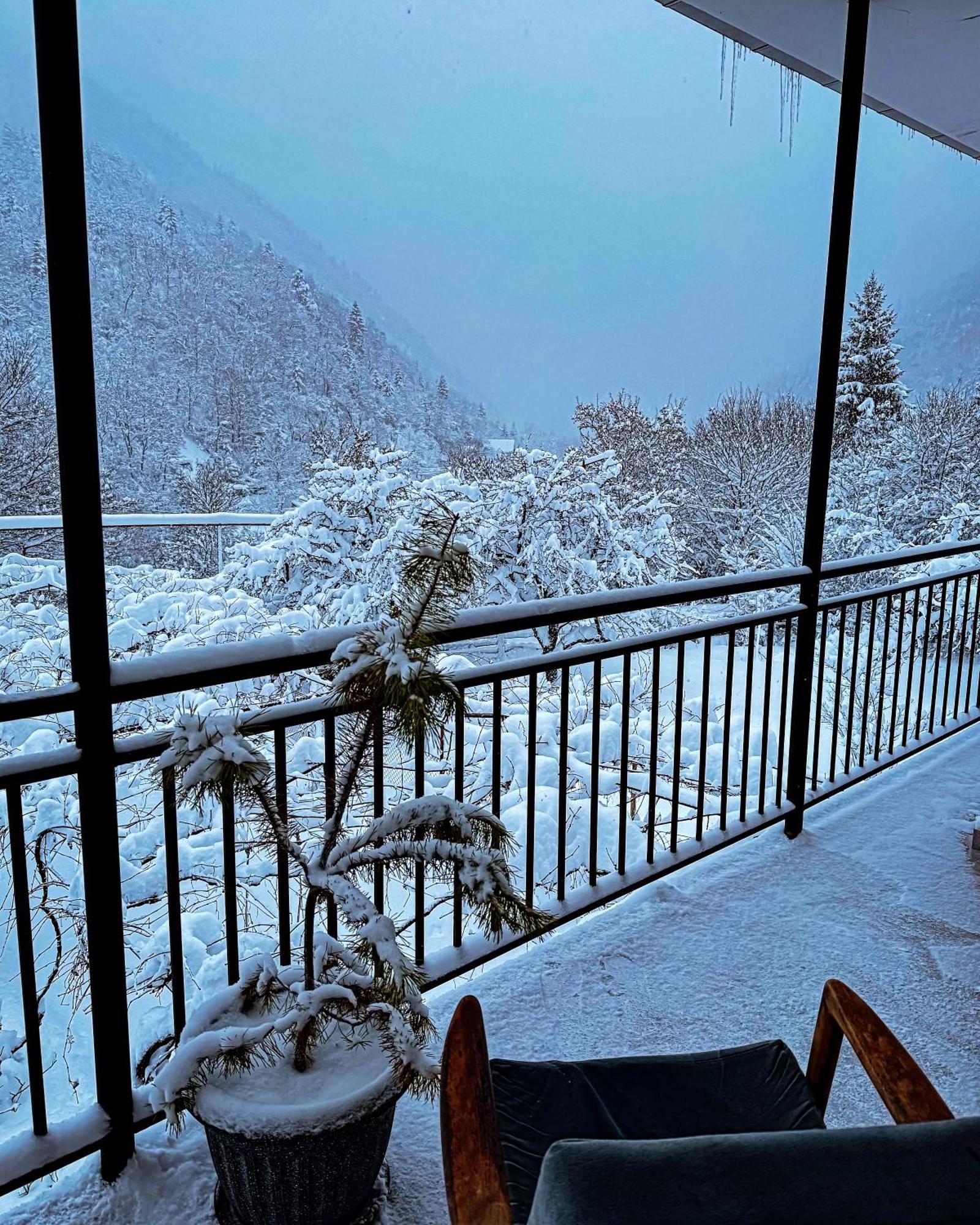 Family Hotel Mountain Panorama Bordjomi Extérieur photo